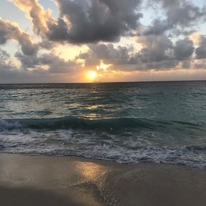 Meet your Posher, Sabine